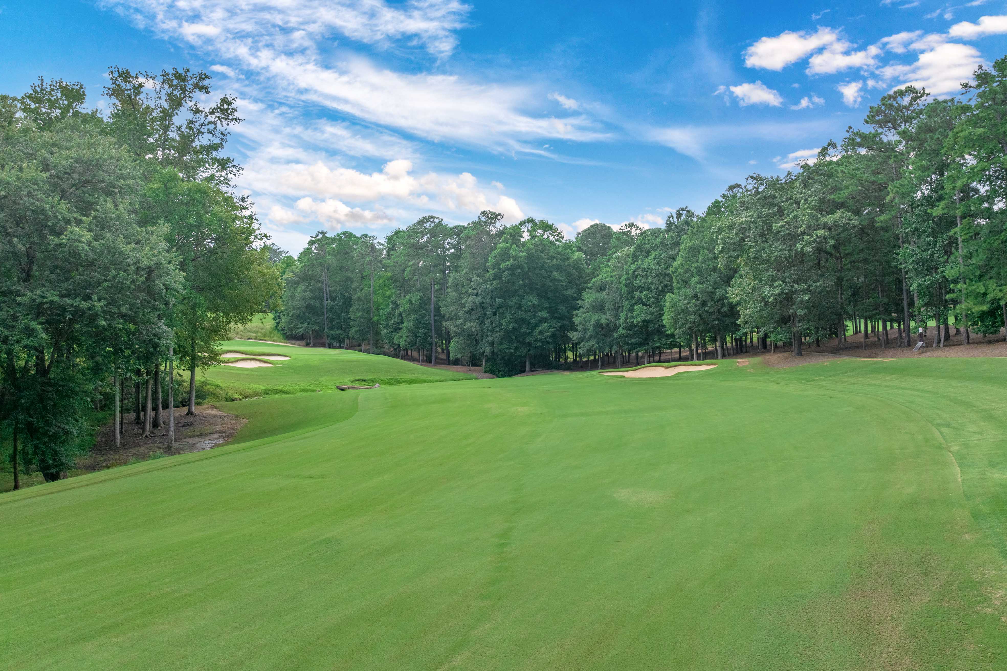 1321 Jackson Ridge Road image 62